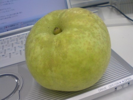f:id:simplife:20080814161155j:image