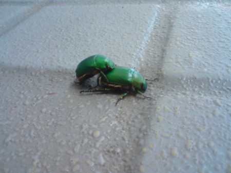 f:id:simplife:20080904081034j:image
