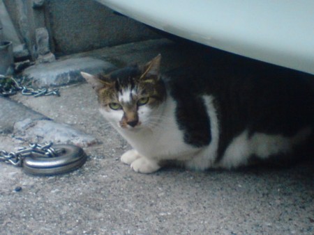 f:id:simplife:20081012163503j:image