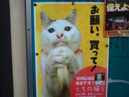 f:id:simplife:20081113131030j:image