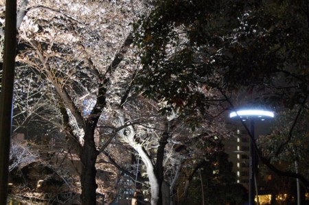 f:id:simplife:20090329165958j:image