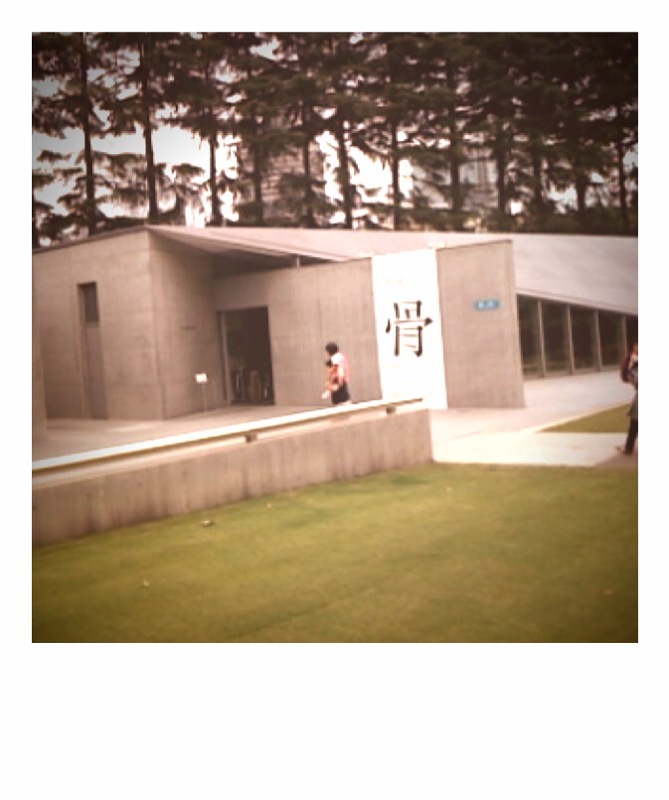photo(3)