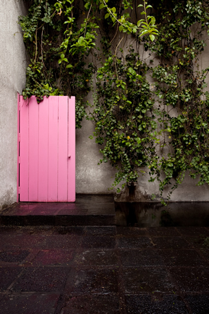roof_door