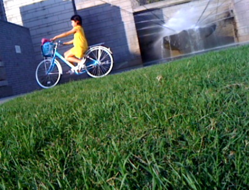 写真(5)